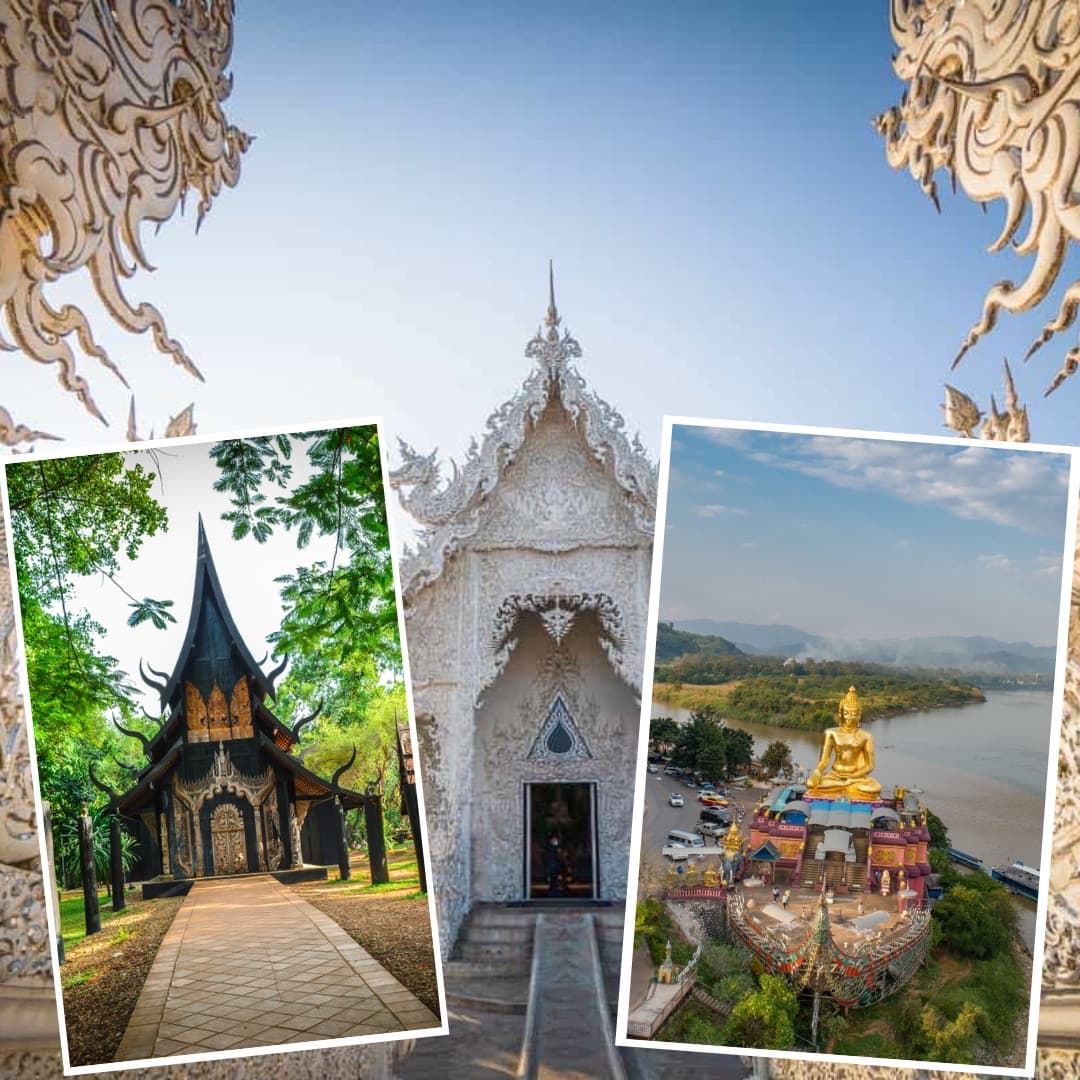 Chiang Rai White Temple Blue Temple Black House and Golden Triangle tour