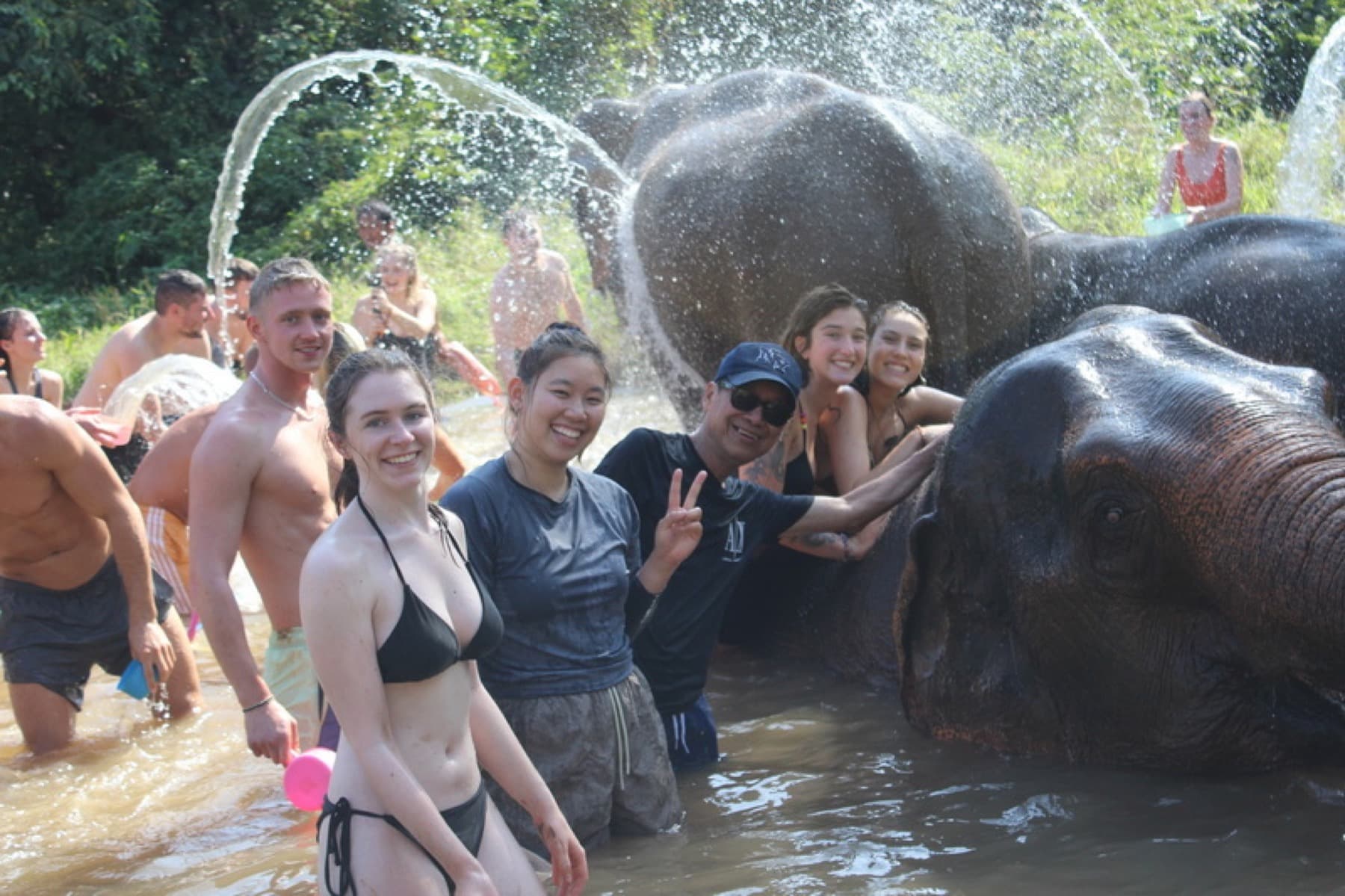 Half-day elephant sanctuary tour in Chiang Mai