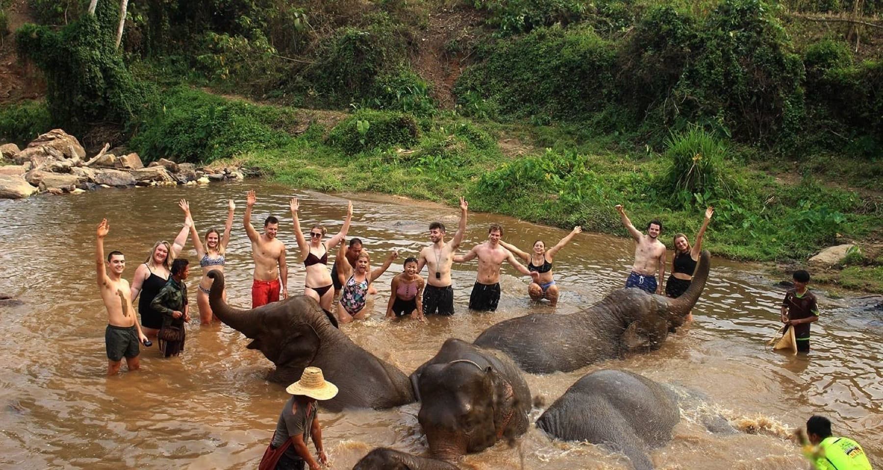 Chiang Mai elephant sanctuary day tour
