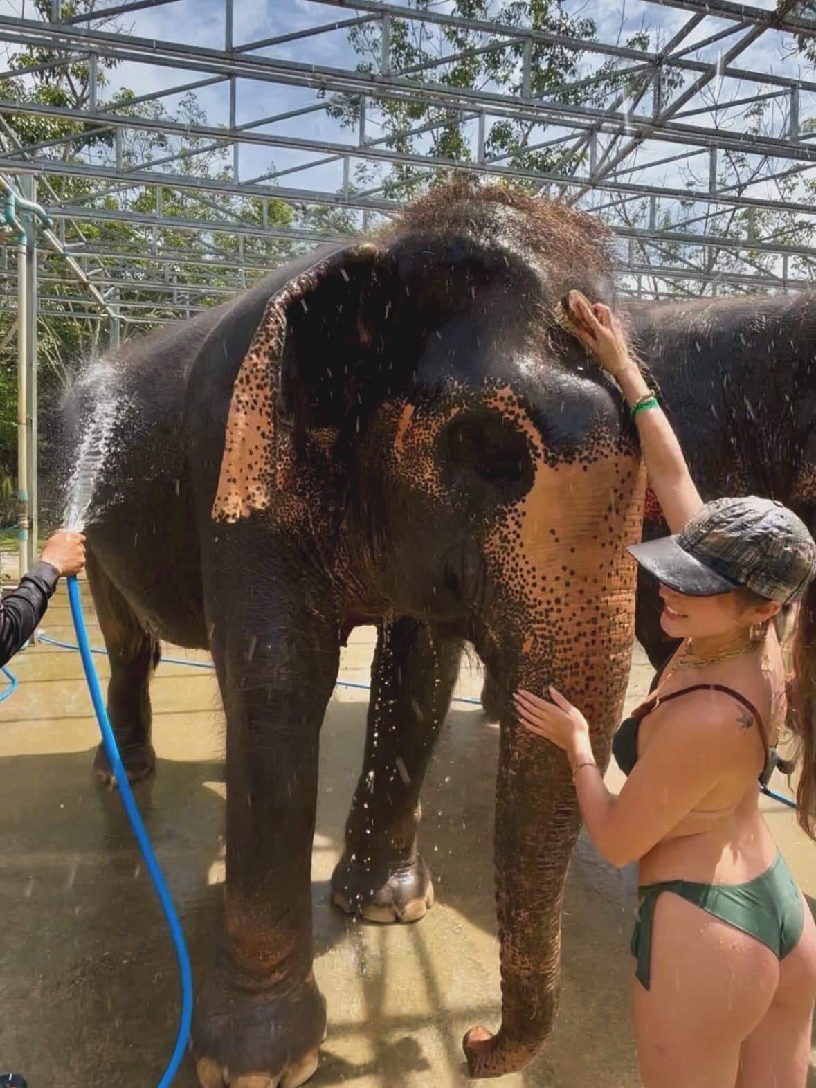 Nature North Travel private elephant sanctuary and Sticky Waterfall programme