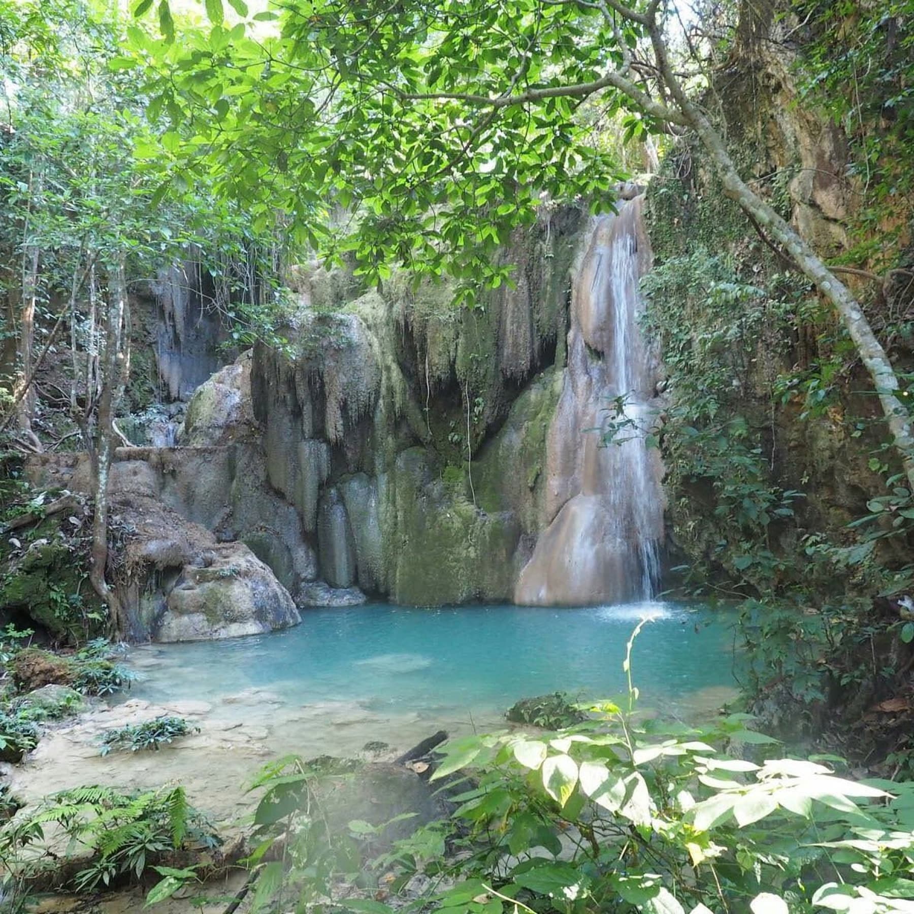 Bua Tong Sticky Waterfall near Chiang Mai