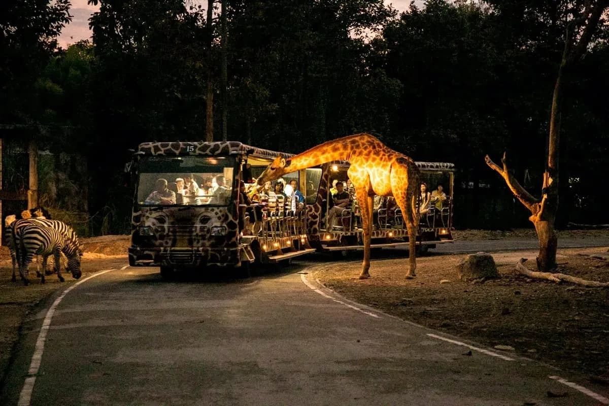 Chiang Mai Night Safari tour photo 3