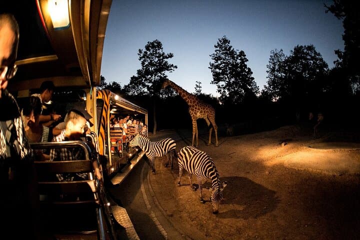 Chiang Mai Night Safari tour photo 7