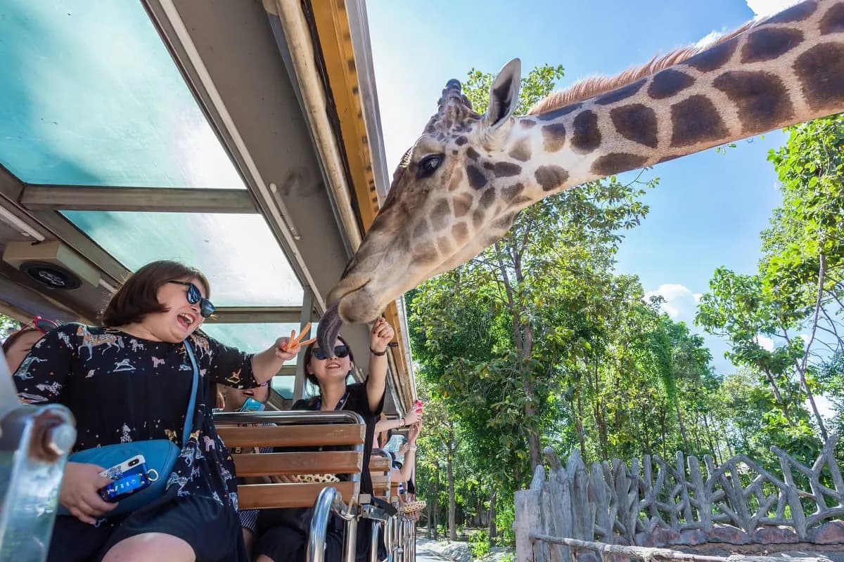 Chiang Mai Night Safari tour photo 8