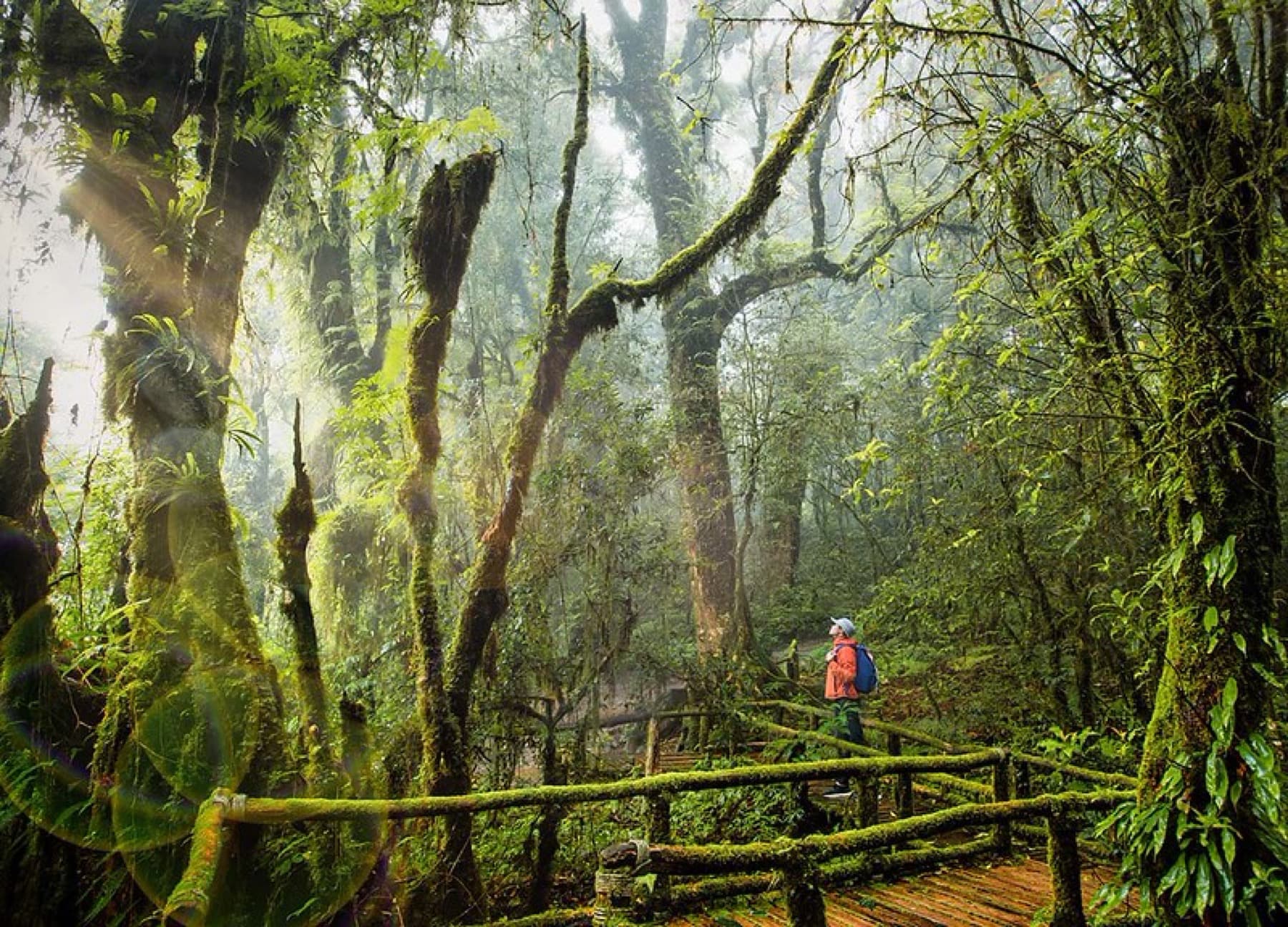 Doi Inthanon Day Tour with Kew Mae Pan Trekking tour photo 2