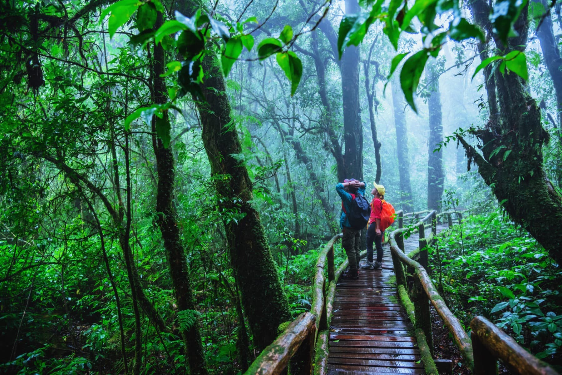 Doi Inthanon National Park (No Trekking) tour photo 4