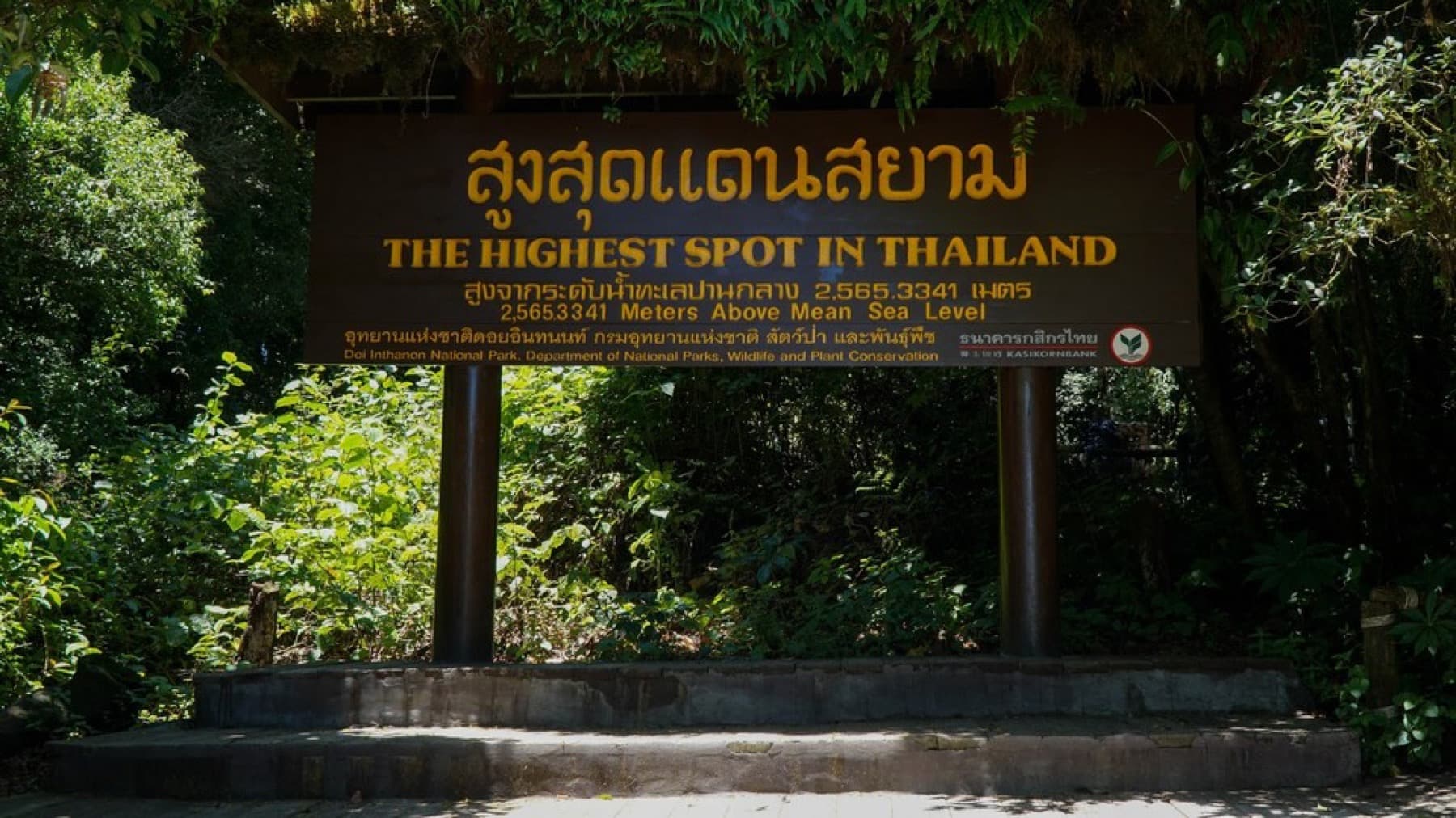 รูปโปรแกรม ดอยอินทนนท์พร้อมเดินป่าผาดอกเสี้ยว 5