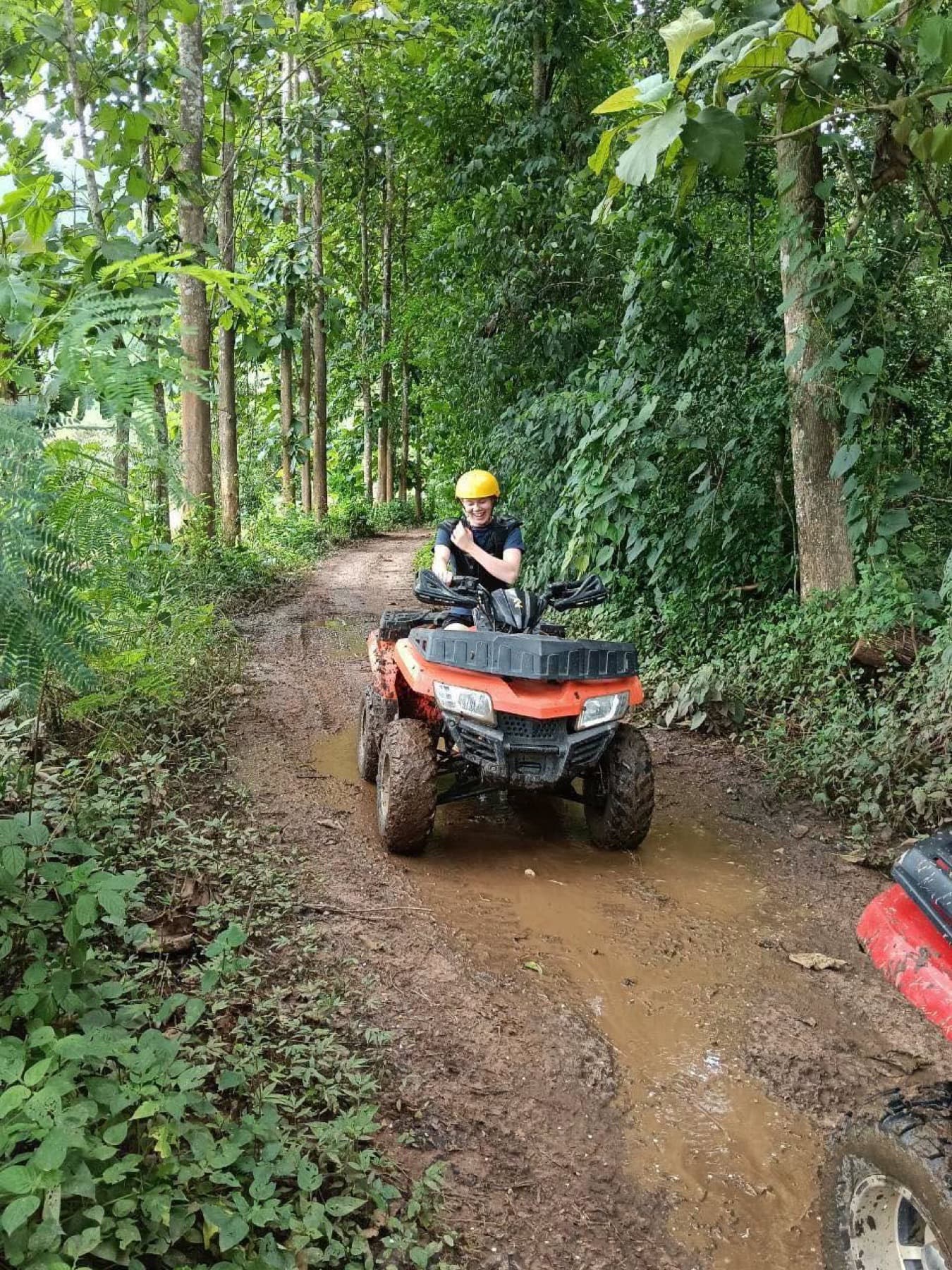 Elephant sanctuary rafting and Sticky Waterfall tour