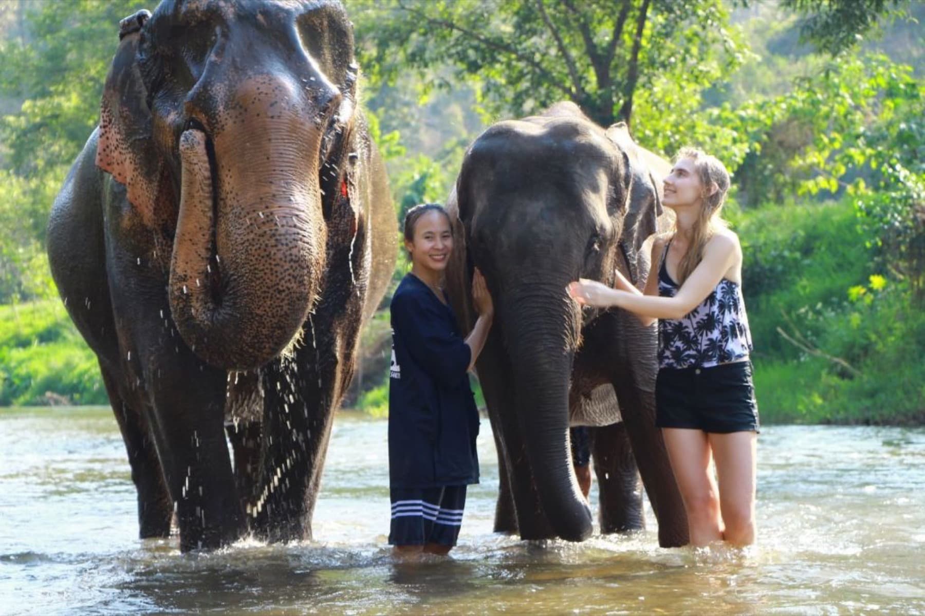 Elephant Sanctuary & Sticky Waterfall tour photo 9