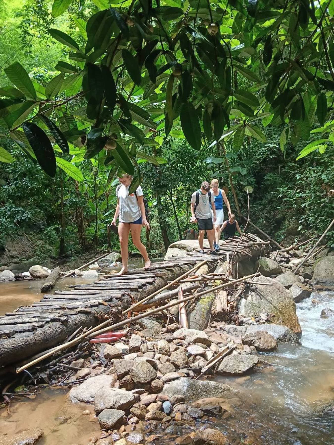 Elephant Sanctuary & Sticky Waterfall tour photo 11