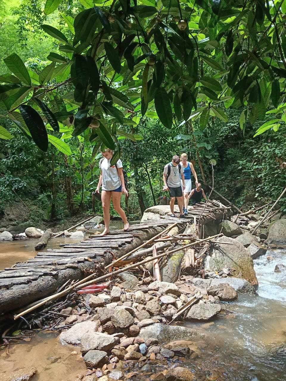 Guests bathing elephants during a Chiang Mai elephant sanctuary tour