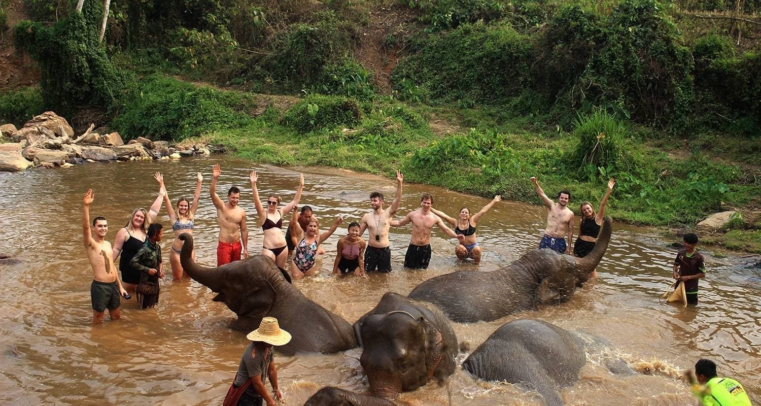 Elephant Sanctuary & Sticky Waterfall tour photo 3