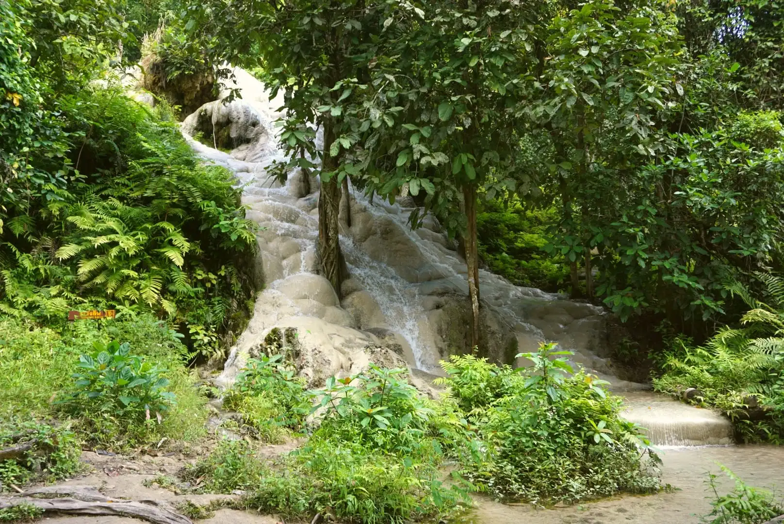 Elephant Sanctuary & Sticky Waterfall tour photo 4