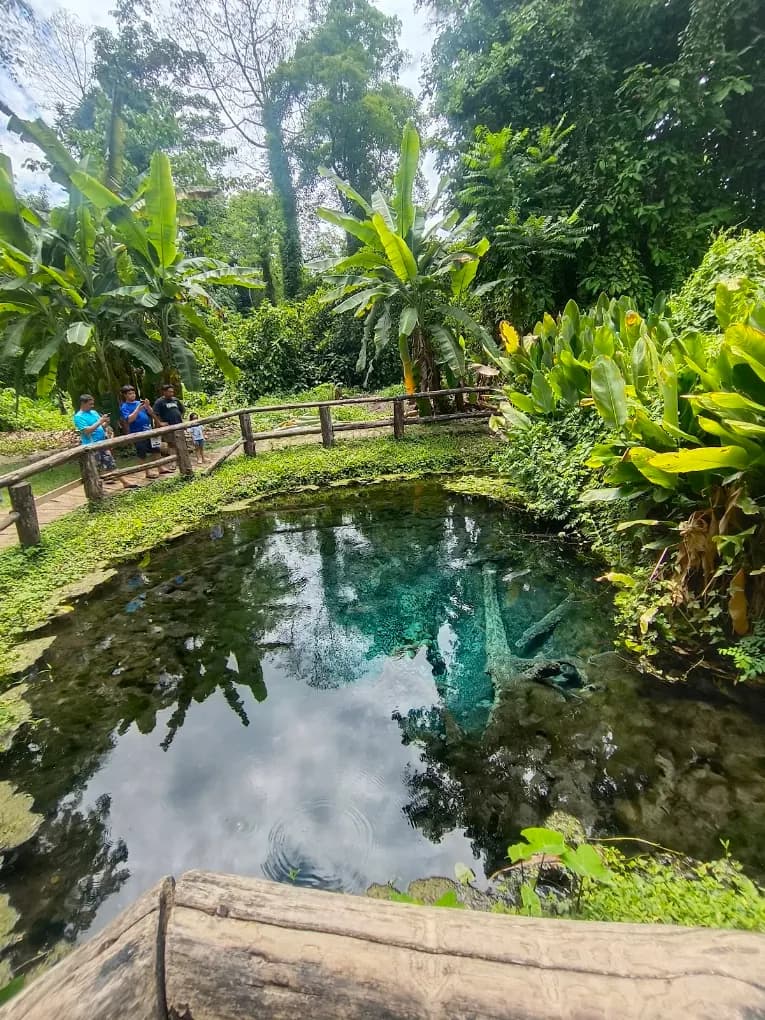 Elephant Sanctuary & Sticky Waterfall tour photo 5