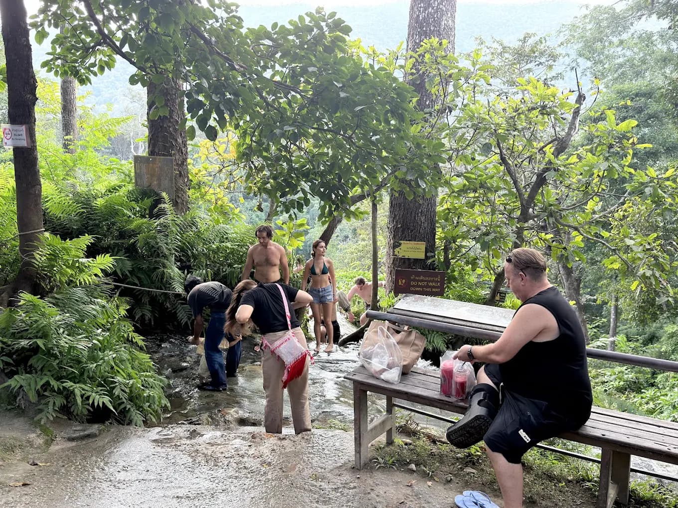 Elephant Sanctuary & Sticky Waterfall tour photo 6