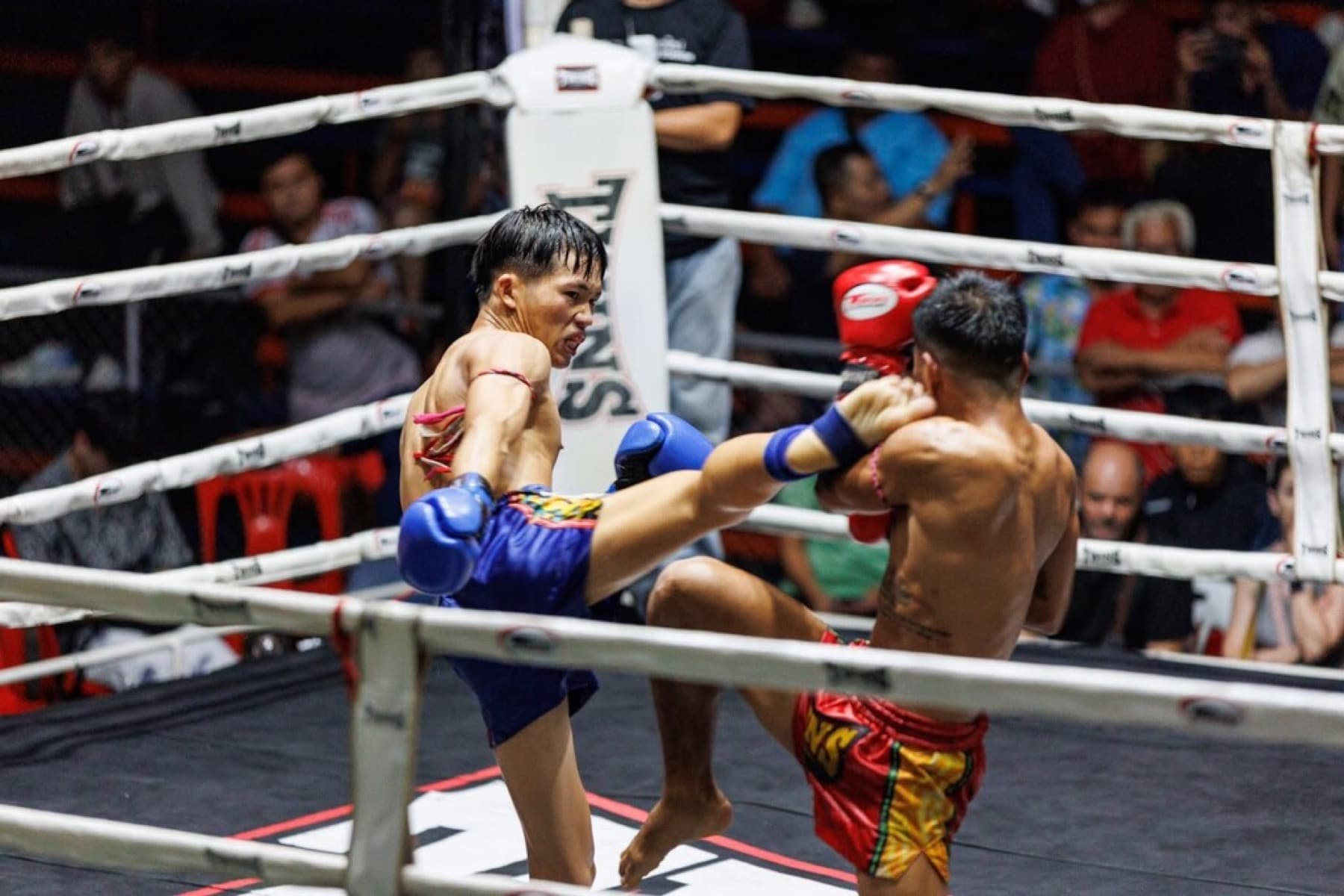 Muay Thai Chiang Mai Boxing Stadium tour photo 2