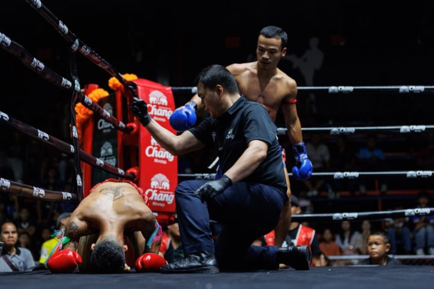 Muay Thai Chiang Mai Boxing Stadium tour photo 4