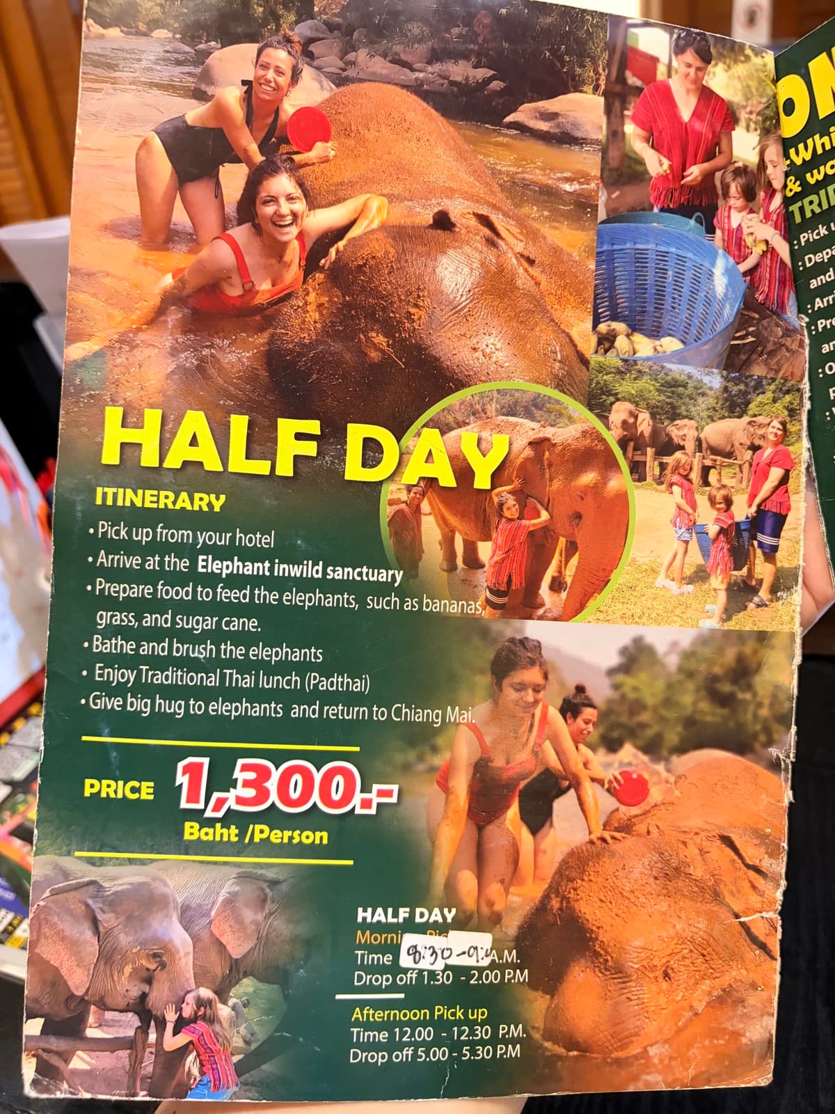 Half-day elephant sanctuary brochure with itinerary and price